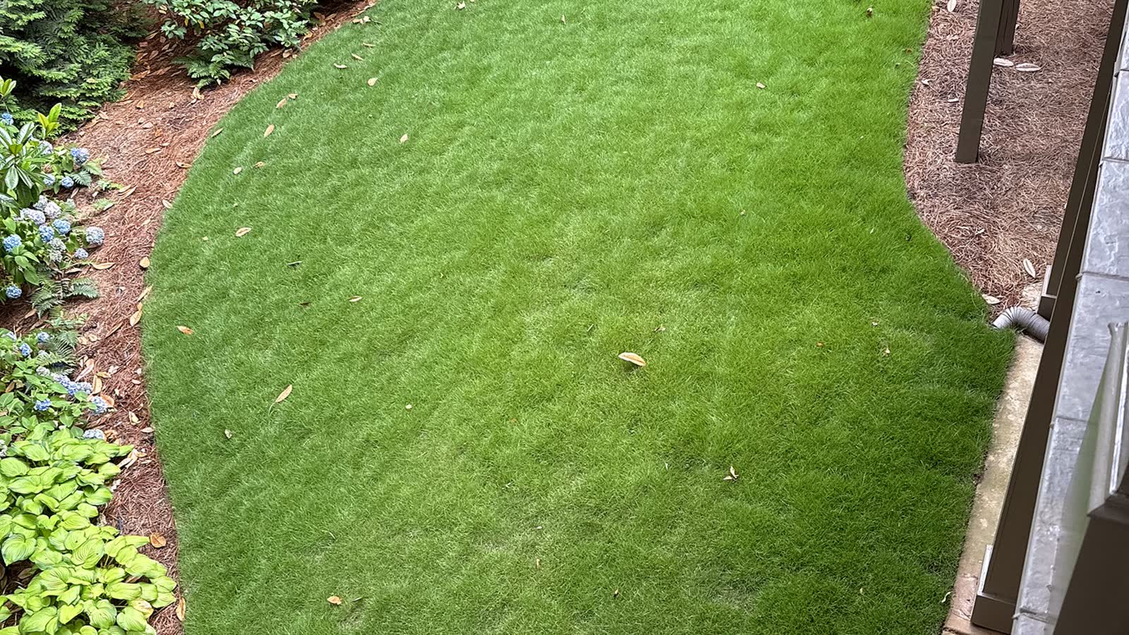 A dense green irrigated lawn edged with planting beds